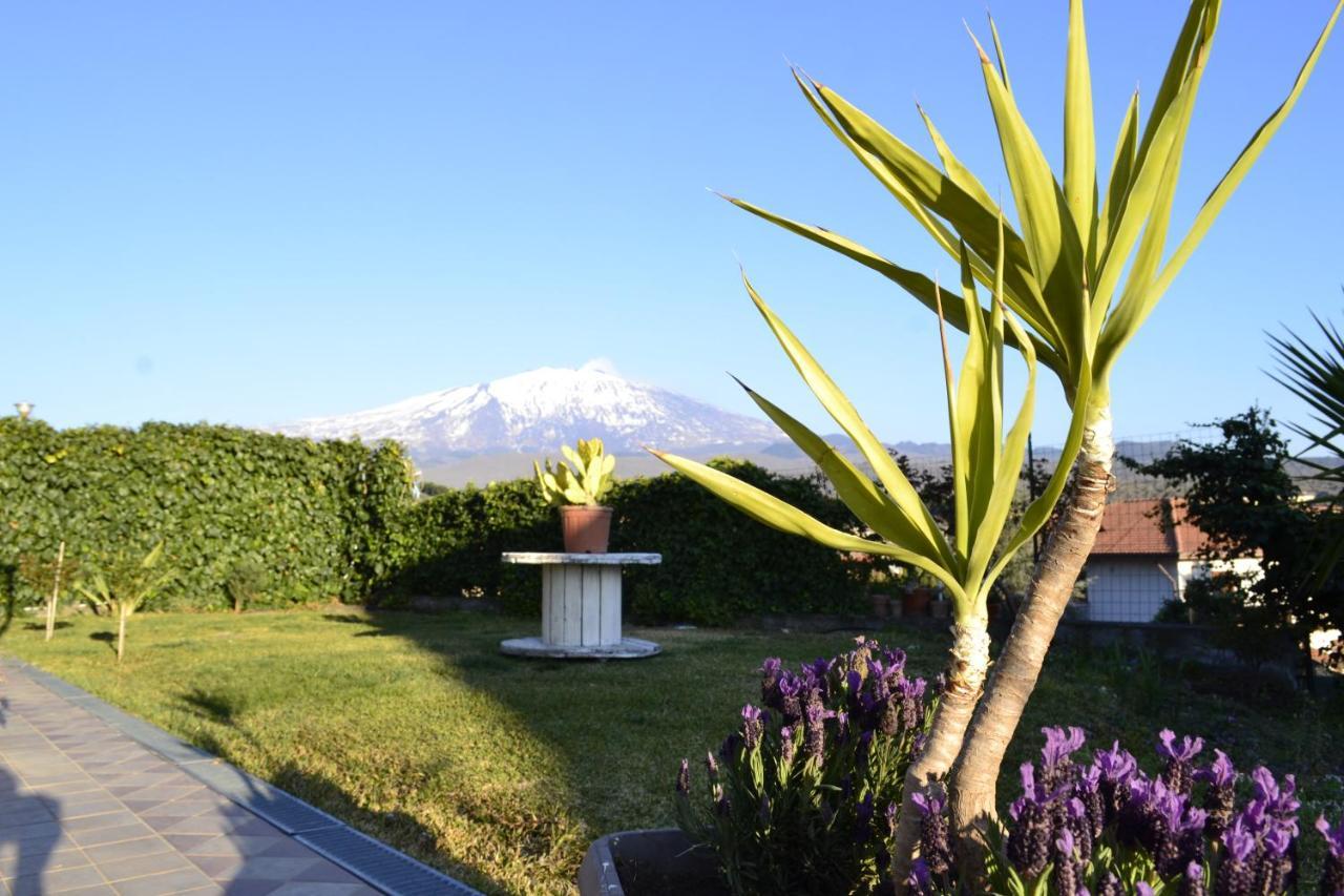 Bed and Breakfast Good Morning Etna Bronte Exterior foto