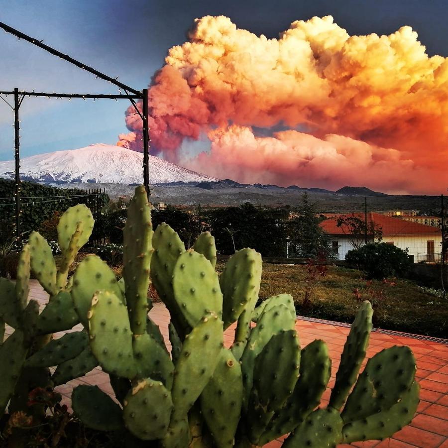 Bed and Breakfast Good Morning Etna Bronte Exterior foto