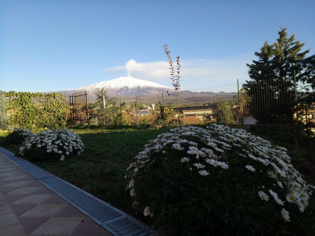 Bed and Breakfast Good Morning Etna Bronte Exterior foto